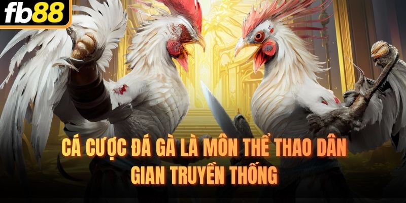 Cá cược đá gà là môn thể thao dân gian truyền thống
